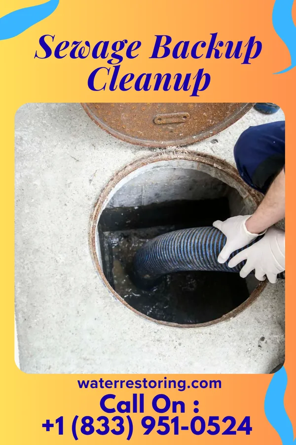 Sewage Backup Cleanup in Parma, MI