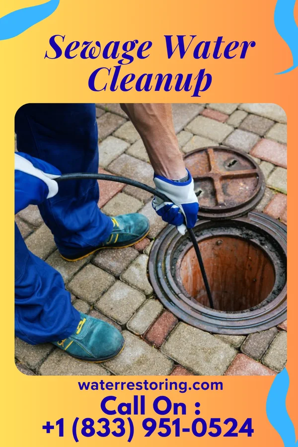 Sewage Water Cleanup in Parma, MI